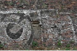 Wall Bricks Overgrown